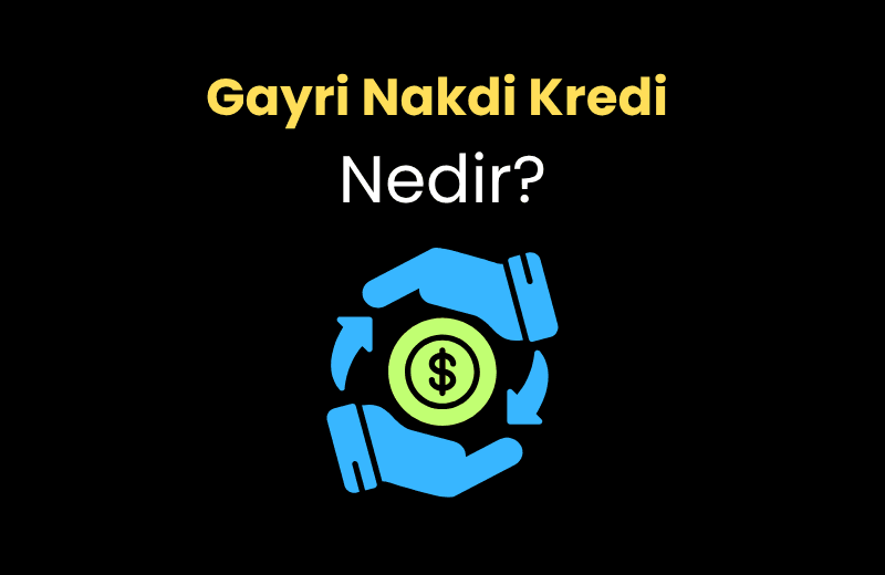 Gayri Nakdi Kredi Nedir