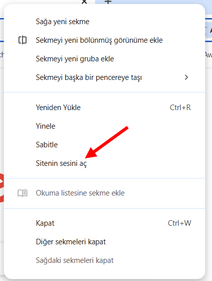 Tarayıcı Ses İzinleri